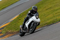 PJ-Motorsport-2019;anglesey-no-limits-trackday;anglesey-photographs;anglesey-trackday-photographs;enduro-digital-images;event-digital-images;eventdigitalimages;no-limits-trackdays;peter-wileman-photography;racing-digital-images;trac-mon;trackday-digital-images;trackday-photos;ty-croes